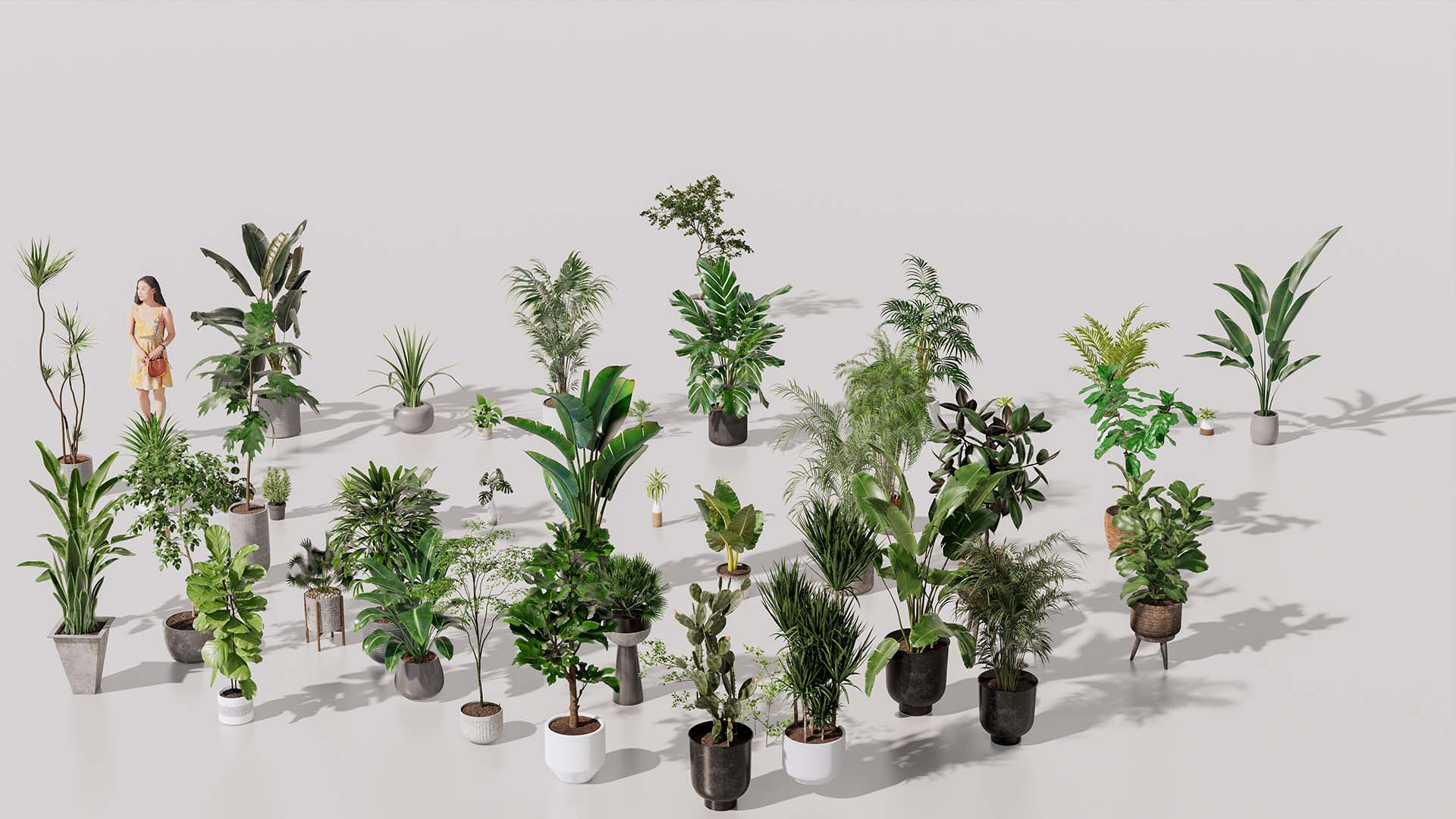 CÂY NỘI THẤT VOL2